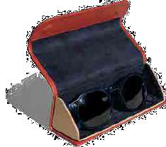 Eyewear/Sunglass Case — DailyObjects
