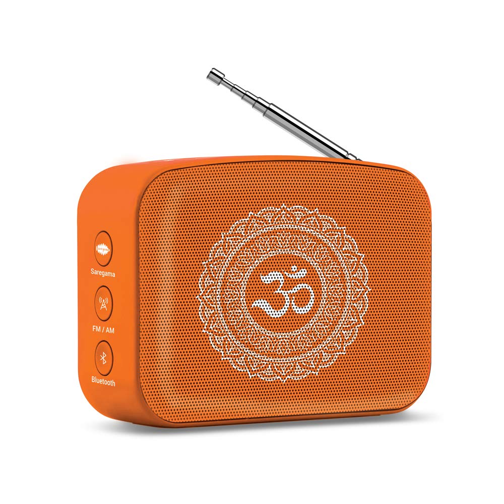 Carvaan Mini Bhakti — Saregama
